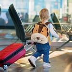 special attention to when buying Little Rolling Backpack-Thatviralfeedcdn