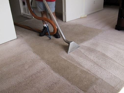 The Correct way of using a carpet steam cleaner-thatviralfeedcdn