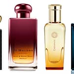Premium Perfumes for men-thatviralfeedcdn